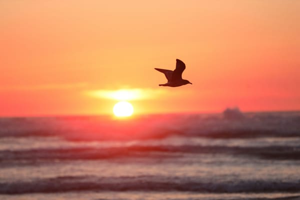 The Age of Enlightenment (Philosophy of Freedom)